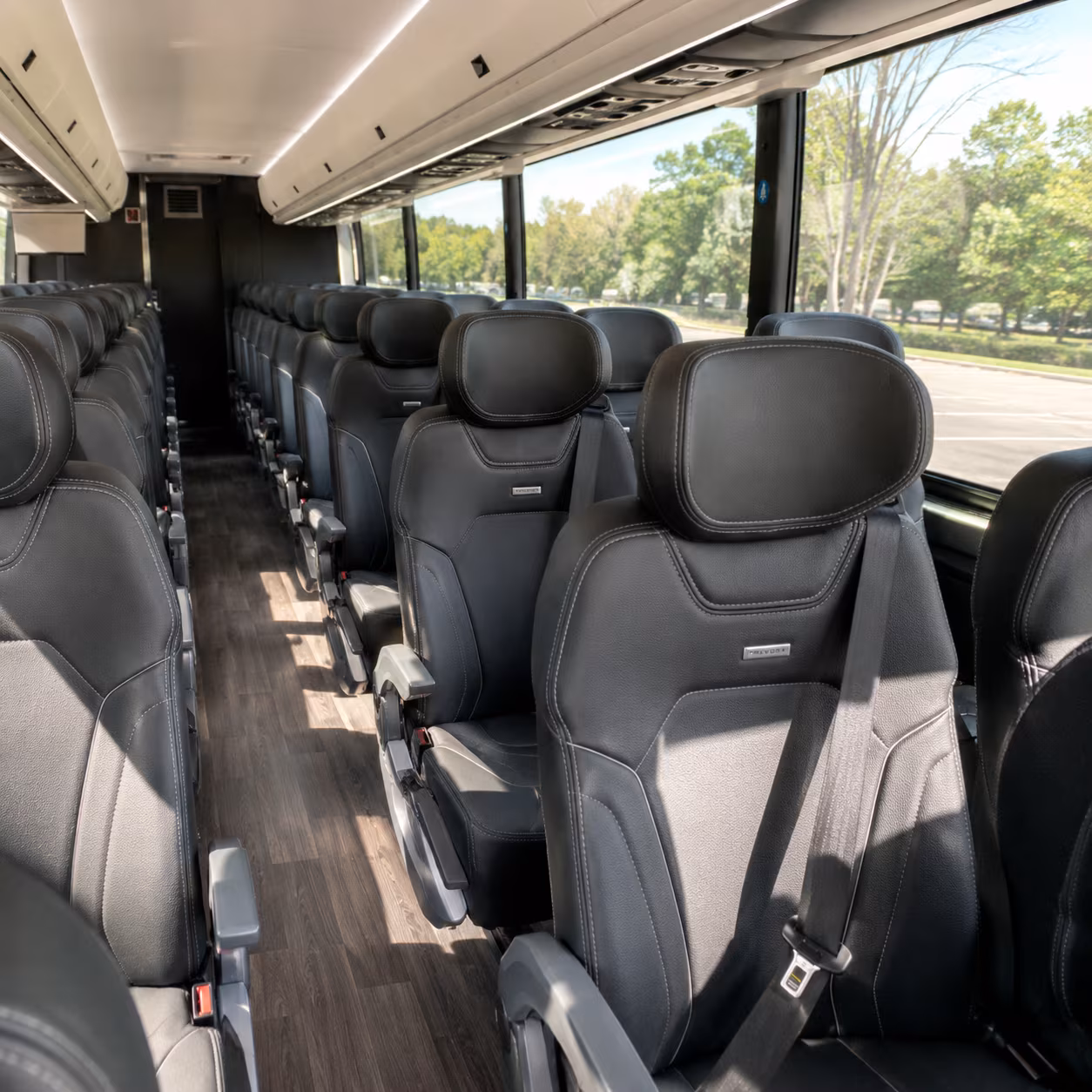 roswell field trip transportation for roswell schools