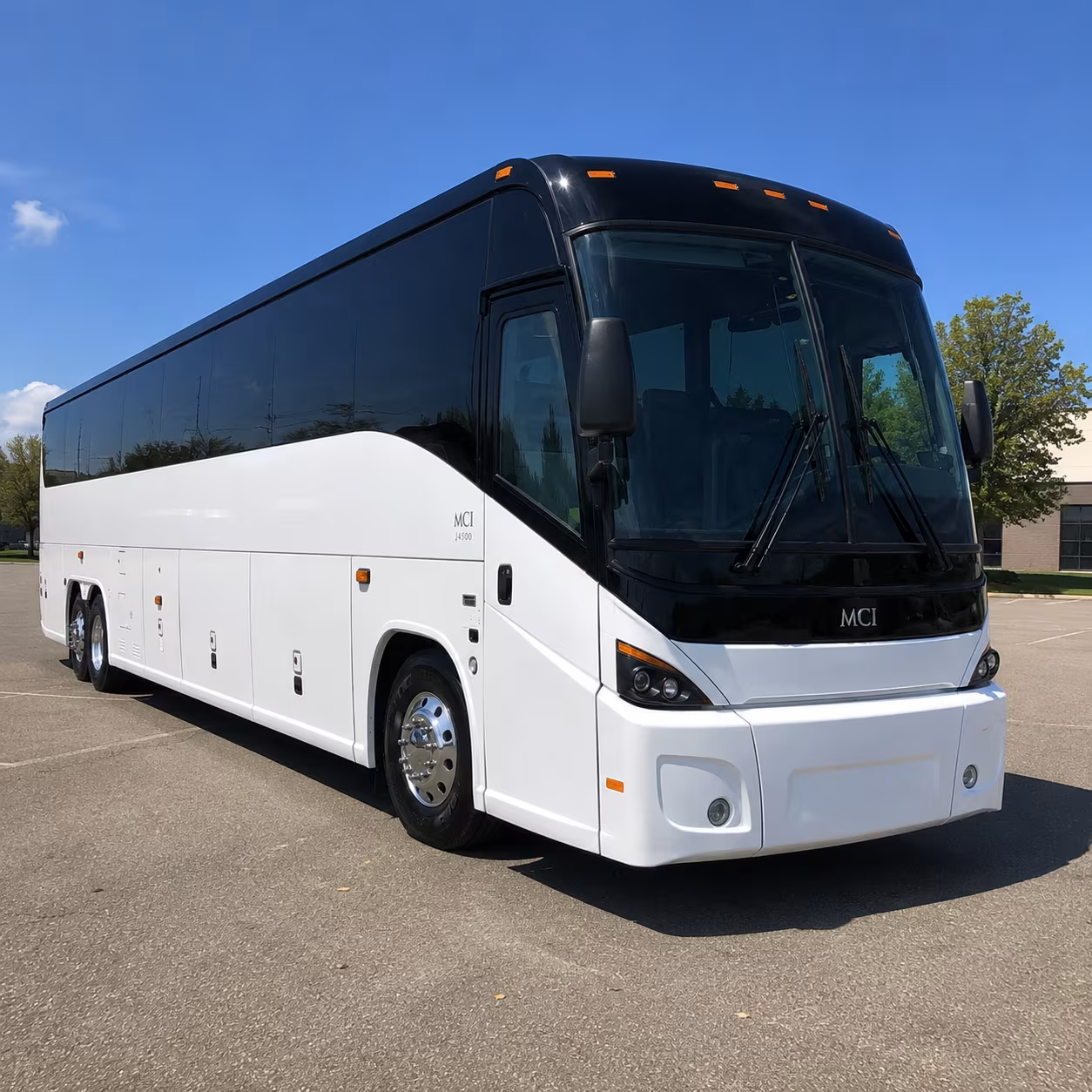 smyrna charter bus